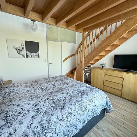Miky Apartman Klinovec Garden Loučná pod Klínovcem Dış mekan fotoğraf